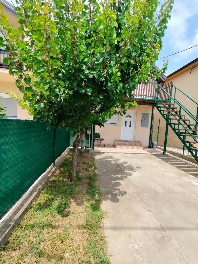 A1 - Airport Belgrade Apartment エクステリア 写真